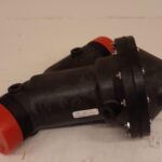 229793.jpg